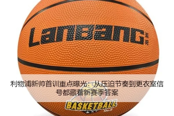 img_1781350831175_203_1_353.jpg